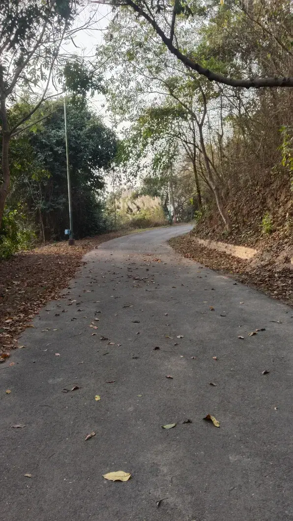 IIT Guwahati Campus photo 11